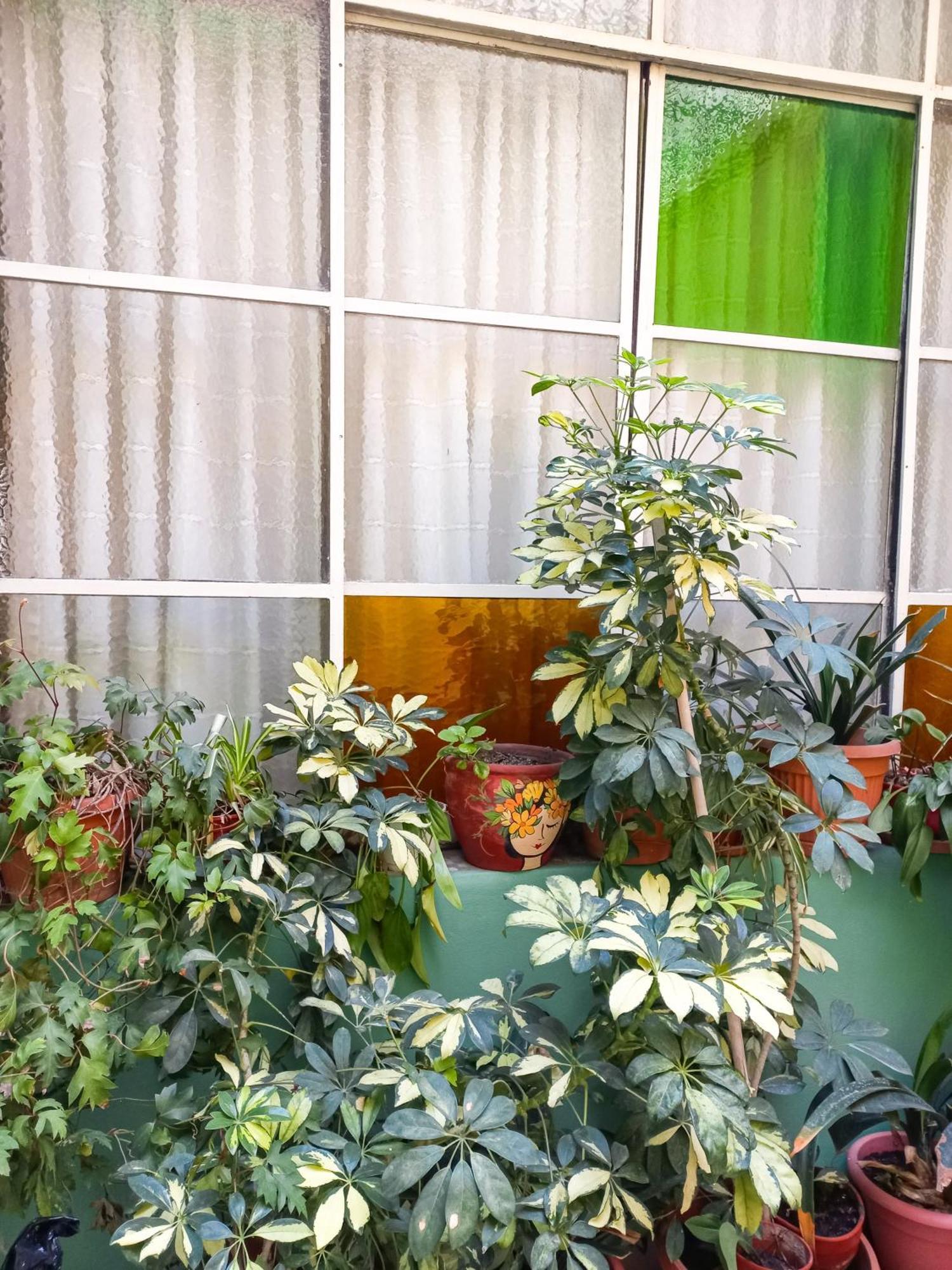 Holiday home Casa Coronel Mendoza